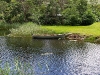 A boat in lake in Ireland