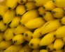 Bananas at Union Square Market, New York